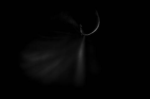 Série fotográfica chamada de Aura: Essência Sutil'