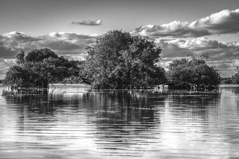 Rio Negro no Pantanal MS'