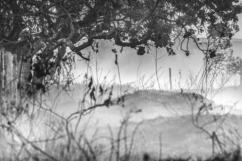 Campo em São Roque de Minas'