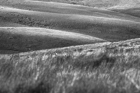 Cerrado em linhas. Serra da Canastra MG'