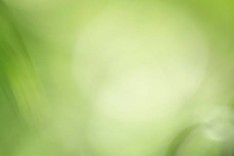 Fotografia que faz parte da série 