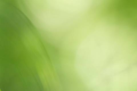 Fotografia que faz parte da série 