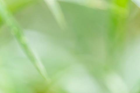 Fotografia que faz parte da série 