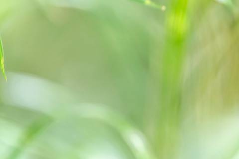 Fotografia que faz parte da série 