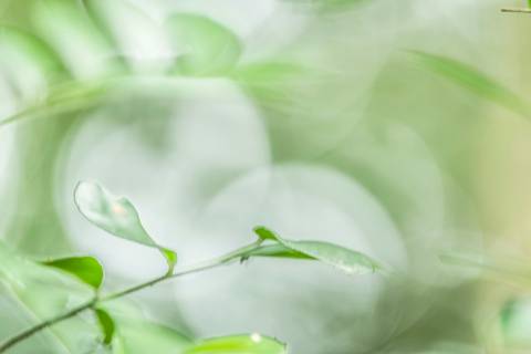 Fotografia que faz parte da série 