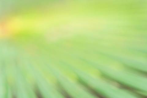 Fotografia que faz parte da série 