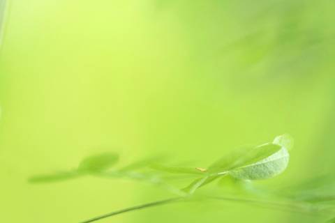 Fotografia que faz parte da série 