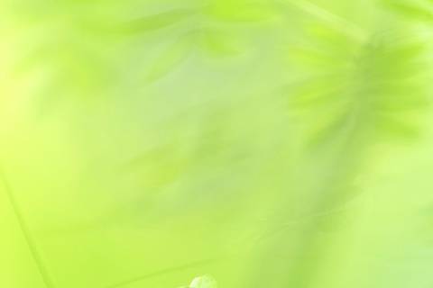 Fotografia que faz parte da série 