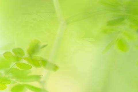 Fotografia que faz parte da série 