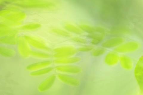 Fotografia que faz parte da série 