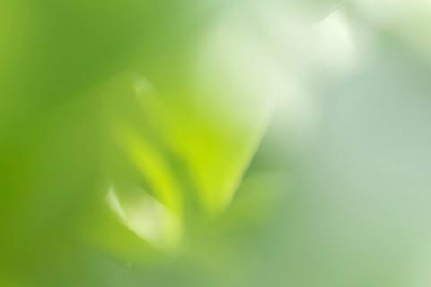 Fotografia que faz parte da série 