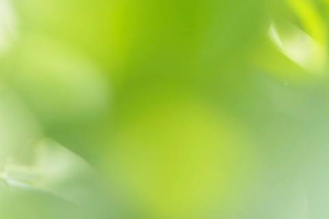 Fotografia que faz parte da série 