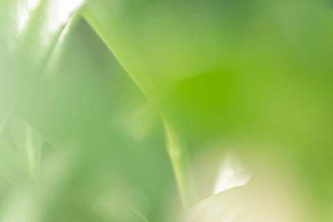 Fotografia que faz parte da série 