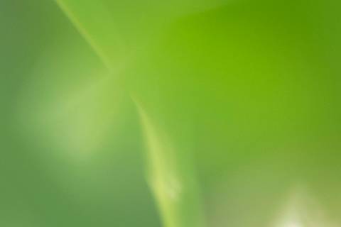 Fotografia que faz parte da série 