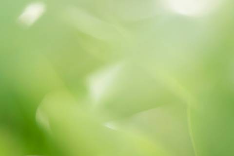 Fotografia que faz parte da série 