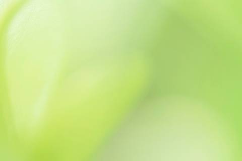 Fotografia que faz parte da série 