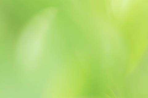 Fotografia que faz parte da série 