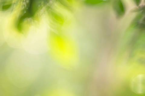 Fotografia que faz parte da série 