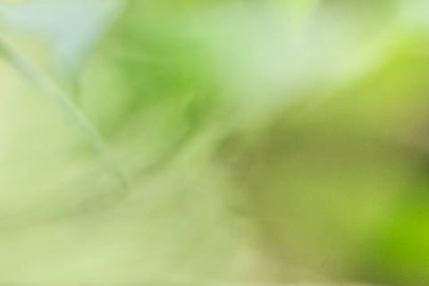 Fotografia que faz parte da série 