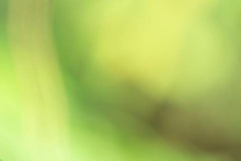 Fotografia que faz parte da série 