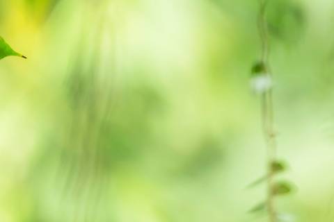 Fotografia que faz parte da série 