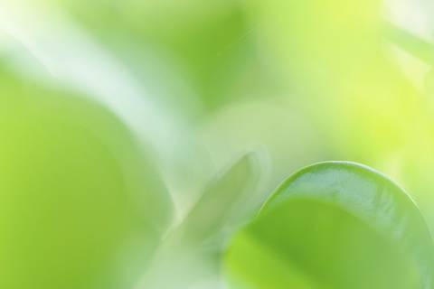 Fotografia que faz parte da série 