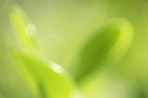 Fotografia que faz parte da série 