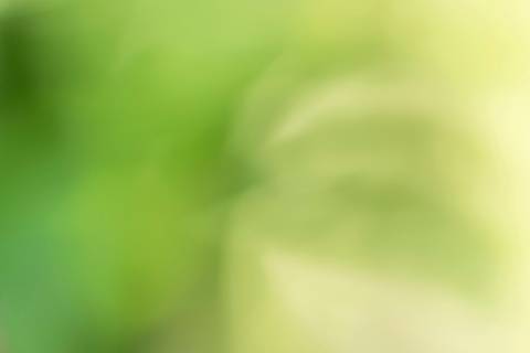 Fotografia que faz parte da série 