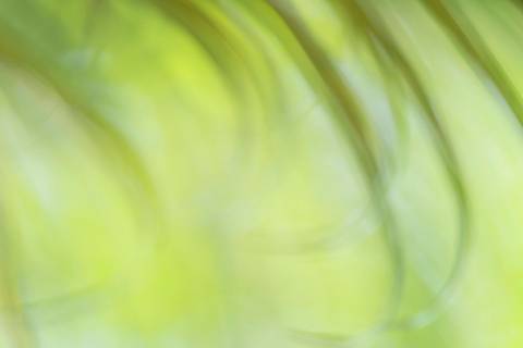 Fotografia que faz parte da série 