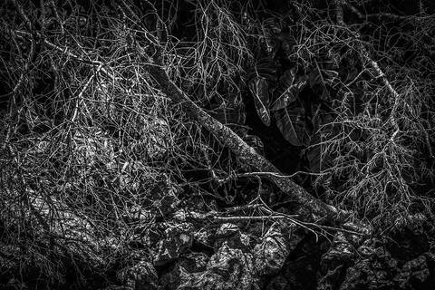 Ensaio fotográfico Alaya, morada interior, a natureza como refúgio de reflexão para o humano'