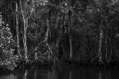 Ensaio fotográfico Alaya, morada interior, a natureza como refúgio de reflexão para o humano'