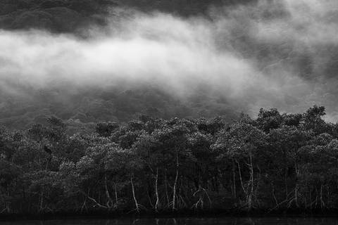 Ensaio fotográfico Alaya, morada interior, a natureza como refúgio de reflexão para o humano'