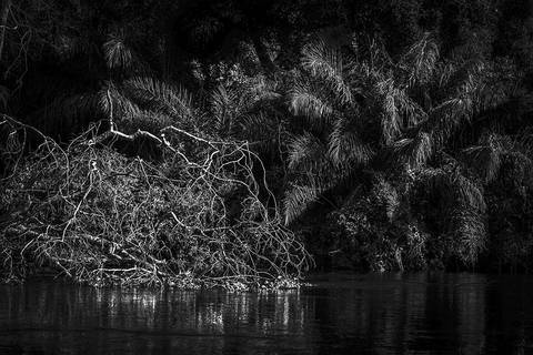 Ensaio fotográfico Alaya, morada interior, a natureza como refúgio de reflexão para o humano'