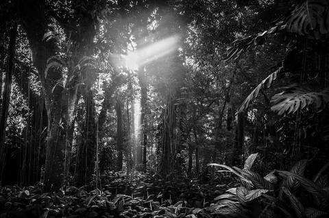 Ensaio fotográfico Alaya, morada interior, a natureza como refúgio de reflexão para o humano'