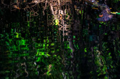 Visões do Pantanal'