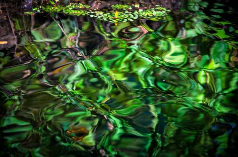 Visões do Pantanal'