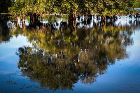 Visões do Pantanal'