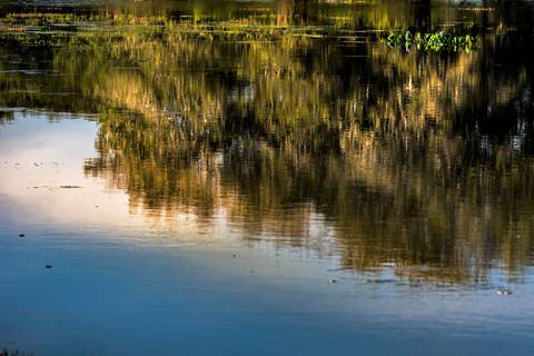 Visões do Pantanal'
