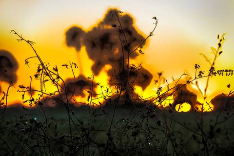 Visões do Pantanal'