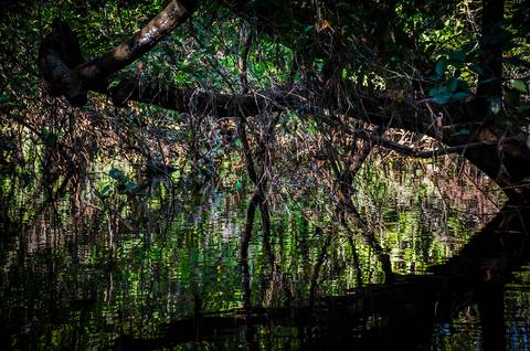 Visões do Pantanal'