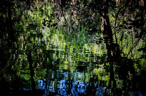 Visões do Pantanal'