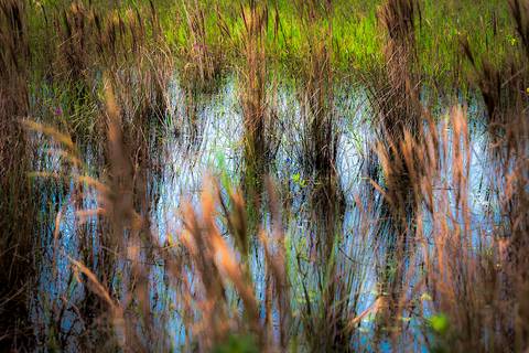 Visões do Pantanal'
