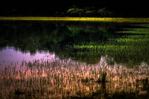 Visões do Pantanal'