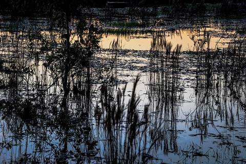 Visões do Pantanal'