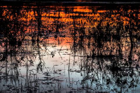 Visões do Pantanal'