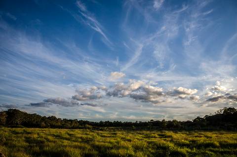 Visões do Pantanal'