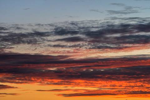 Visões do Pantanal'