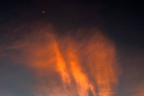 Visões do Pantanal'