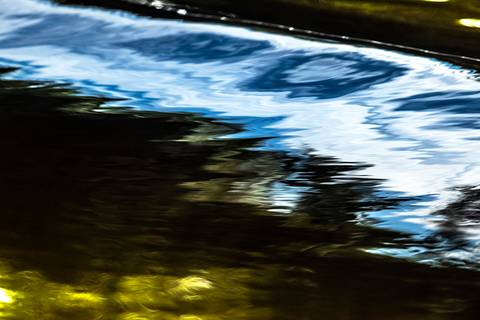 Visões do Pantanal'