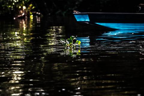 Visões do Pantanal'
